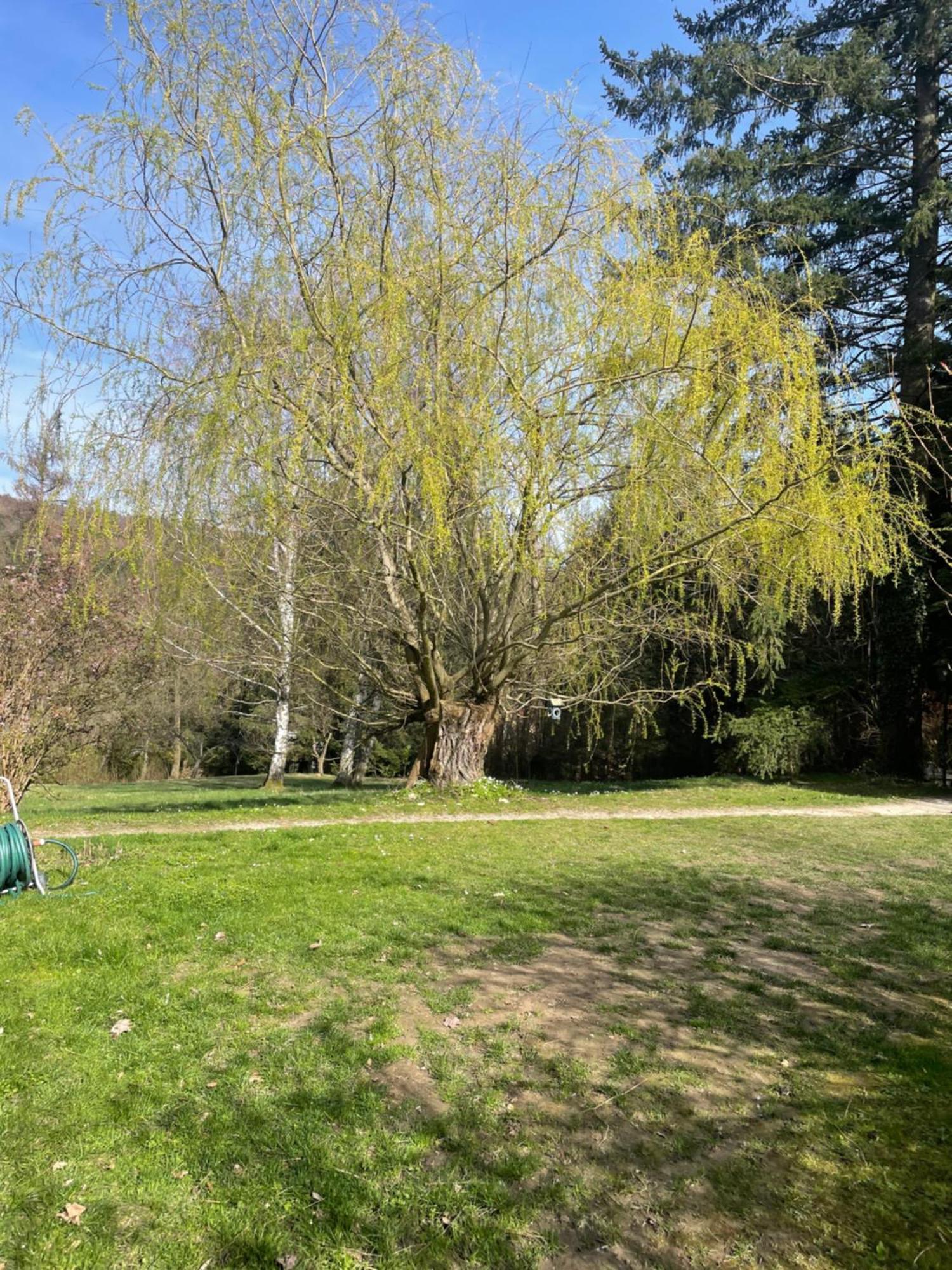 Im Gruenen Nah An Wien Homestay